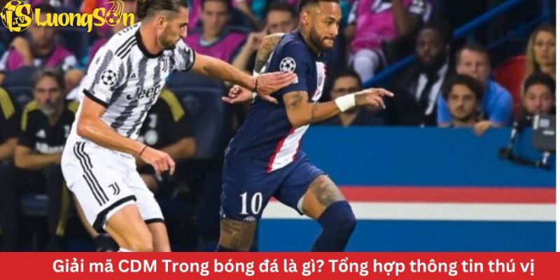 CDM Trong bóng đá là gì?